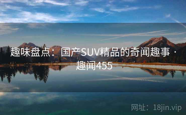 趣味盘点：国产SUV精品的奇闻趣事 · 趣闻455